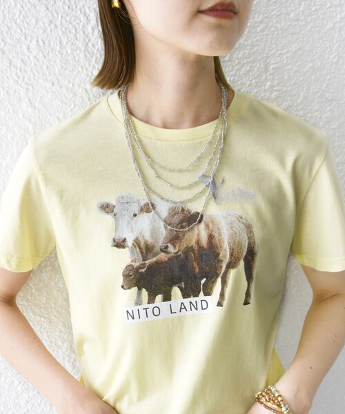 SHIPS for women / シップスウィメン 【SHIPS別注】ACASAM: フォト TEE SHIPS別注】ACASAM: フォト TEE（Tシャツ/カットソー）｜SHIPS