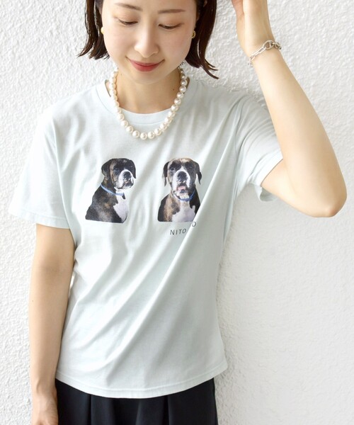 SHIPS(シップス)の「【SHIPS別注】ACASAM: フォト TEE(Tシャツ/カットソー・レディース・イエロー/ホワイト系/ライトブルー/ホワイト・ONE SIZE)」の16枚目の写真