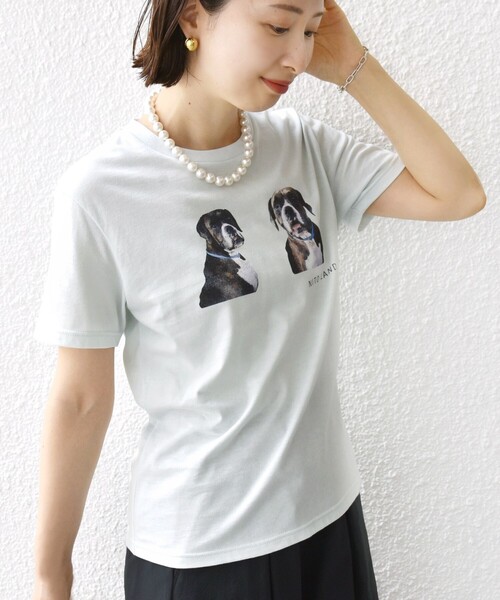 SHIPS(シップス)の「【SHIPS別注】ACASAM: フォト TEE(Tシャツ/カットソー・レディース・イエロー/ホワイト系/ライトブルー/ホワイト・ONE SIZE)」の13枚目の写真