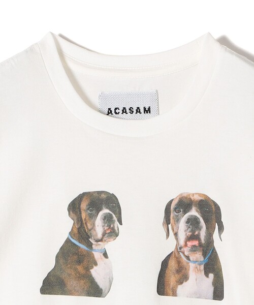 SHIPS(シップス)の「【SHIPS別注】ACASAM: フォト TEE(Tシャツ/カットソー・レディース・イエロー/ホワイト系/ライトブルー/ホワイト・ONE SIZE)」の10枚目の写真