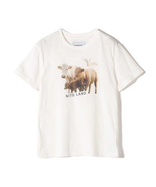 【SHIPS別注】ACASAM: フォト TEE SHIPS別注】ACASAM: フォト TEE（Tシャツ/カットソー）｜SHIPS
