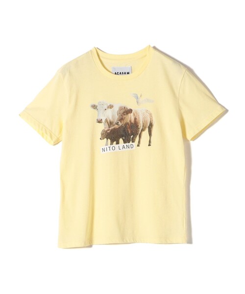 【SHIPS別注】ACASAM: フォト TEE SHIPS別注】ACASAM: フォト TEE（Tシャツ/カットソー）｜SHIPS