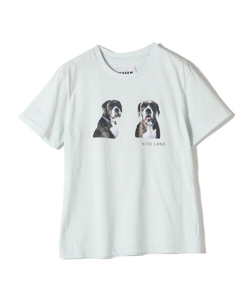 【SHIPS別注】ACASAM: フォト TEE SHIPS別注】ACASAM: フォト TEE（Tシャツ/カットソー）｜SHIPS