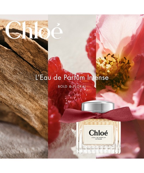クロエ オードパルファム インテンス 30mL（香水）｜Chloe（クロエ）の