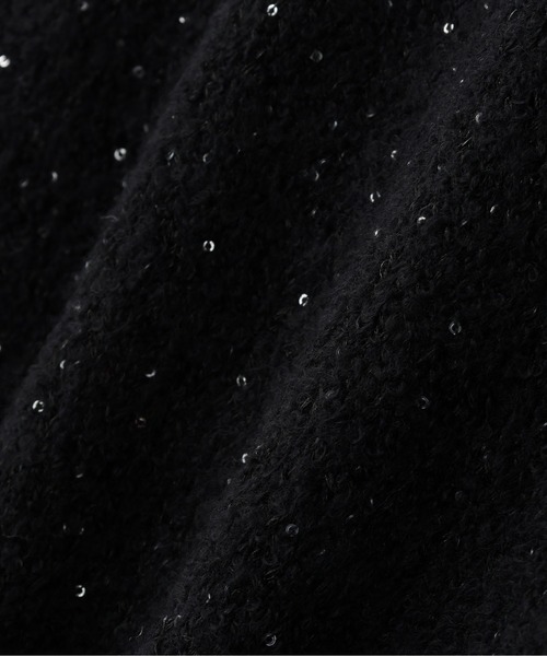 N.（N. Natural Beauty Basic）（エヌエヌナチュラルビューティーベーシック）の「スパンコールスキッパーニット（ニット/セーター・レディース・ブルー/ブラック/ベージュ・FREE）」の13枚目の写真