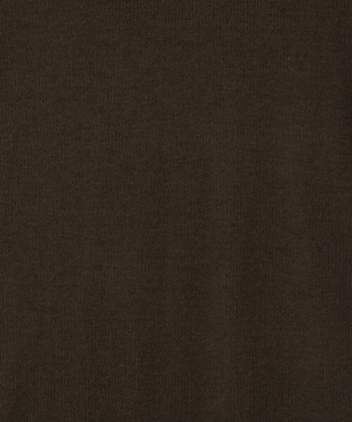 NOLLEY’S Sophi（ノーリーズソフィ）の「ウォッシャブルorganicコットンシアーテレコロンＴ（Tシャツ/カットソー・レディース・ダークブラウン/オフホワイト/イエロー・38）」の5枚目の写真