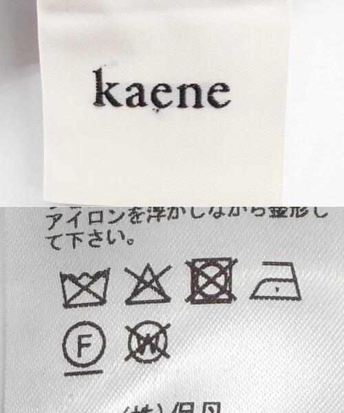 URBAN RESEARCH ROSSO WOMEN(アーバンリサーチ ロッソ)の「『別注』kaene×ROSSO フラワーエンブロイダリードレス(ワンピース・レディース・イエロー/チャコールグレー・36)」の12枚目の写真