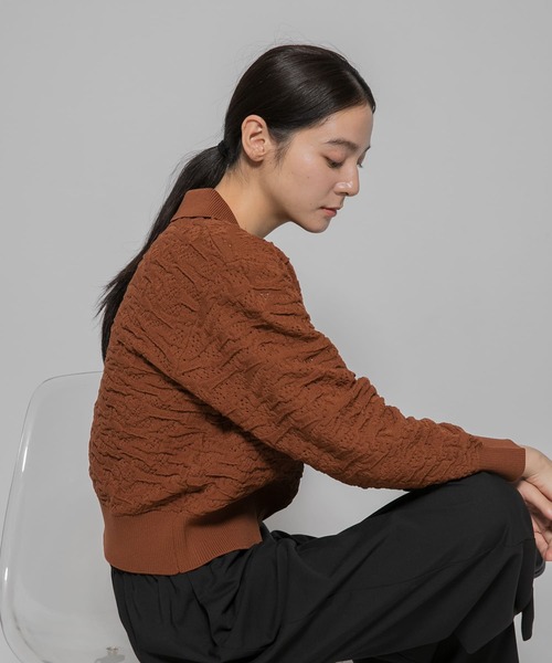EKAL(エカル)の「ジャガードニットポロプルオーバー(ニット/セーター・レディース・キャメル/ブラック/グリーン系その他・ONE)」の19枚目の写真