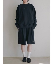 Embroidery Over Sweat 62620609
