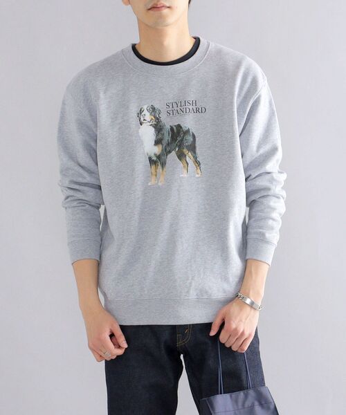 SHIPS（シップス）の「*SHIPS: ビッグシルエット STYLISH STANDARD DOG スウェット（スウェット・メンズ・ロイヤルブルー/ブラック/ネイビー/グレー・LARGE/MEDIUM/X-LARGE）」の2枚目の写真