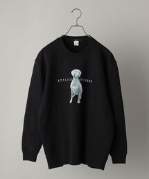 SHIPS | *SHIPS: ビッグシルエット STYLISH STANDARD DOG スウェット(スウェット)