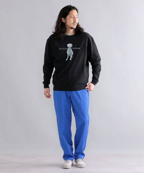 SHIPS（シップス）の「*SHIPS: ビッグシルエット STYLISH STANDARD DOG スウェット（スウェット・メンズ・ロイヤルブルー/ブラック/ネイビー/グレー・LARGE/MEDIUM/X-LARGE）」の20枚目の写真