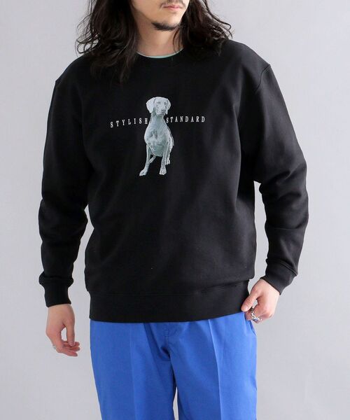 SHIPS（シップス）の「*SHIPS: ビッグシルエット STYLISH STANDARD DOG スウェット（スウェット・メンズ・ロイヤルブルー/ブラック/ネイビー/グレー・LARGE/MEDIUM/X-LARGE）」の16枚目の写真