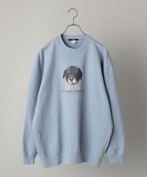 SHIPS（シップス）の「*SHIPS: ビッグシルエット STYLISH STANDARD DOG スウェット（スウェット・メンズ・ロイヤルブルー/ブラック/ネイビー/グレー・LARGE/MEDIUM/X-LARGE）」の14枚目の写真