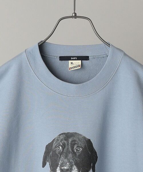 SHIPS（シップス）の「*SHIPS: ビッグシルエット STYLISH STANDARD DOG スウェット（スウェット・メンズ・ロイヤルブルー/ブラック/ネイビー/グレー・LARGE/MEDIUM/X-LARGE）」の13枚目の写真