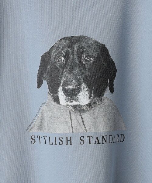 SHIPS（シップス）の「*SHIPS: ビッグシルエット STYLISH STANDARD DOG スウェット（スウェット・メンズ・ロイヤルブルー/ブラック/ネイビー/グレー・LARGE/MEDIUM/X-LARGE）」の11枚目の写真