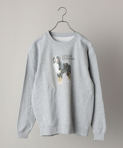 SHIPS（シップス）の「*SHIPS: ビッグシルエット STYLISH STANDARD DOG スウェット（スウェット・メンズ・ロイヤルブルー/ブラック/ネイビー/グレー・LARGE/MEDIUM/X-LARGE）」の8枚目の写真