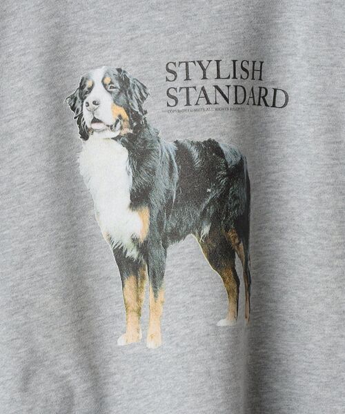 SHIPS（シップス）の「*SHIPS: ビッグシルエット STYLISH STANDARD DOG スウェット（スウェット・メンズ・ロイヤルブルー/ブラック/ネイビー/グレー・LARGE/MEDIUM/X-LARGE）」の7枚目の写真