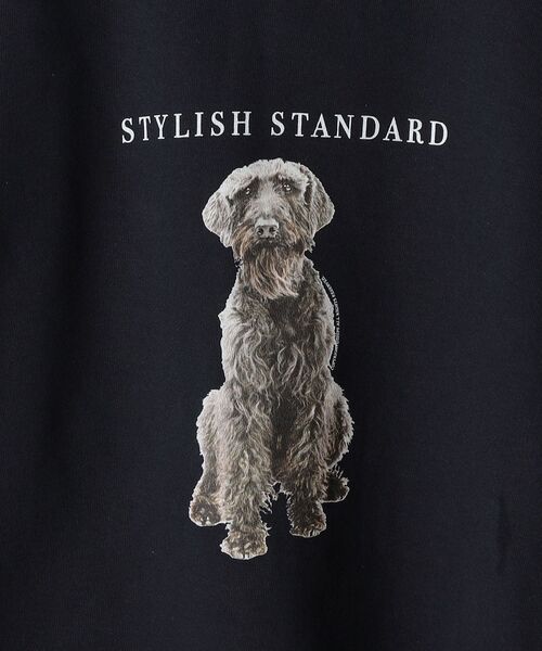 SHIPS（シップス）の「*SHIPS: ビッグシルエット STYLISH STANDARD DOG スウェット（スウェット・メンズ・ロイヤルブルー/ブラック/ネイビー/グレー・LARGE/MEDIUM/X-LARGE）」の5枚目の写真