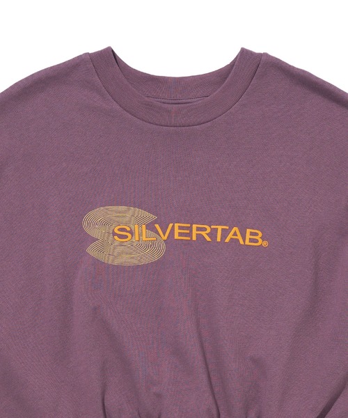 Levi's（リーバイス）の「Levi's/リーバイス SILVERTAB(TM) グラフィッククルーネックスウェットシャツ パープル BIG ARCTIC DUSK（スウェット・レディース・グレー/パープル・M/S/XS/L）」の9枚目の写真