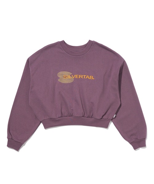 Levi's（リーバイス）の「Levi's/リーバイス SILVERTAB(TM) グラフィッククルーネックスウェットシャツ パープル BIG ARCTIC DUSK（スウェット・レディース・グレー/パープル・M/S/XS/L）」の14枚目の写真