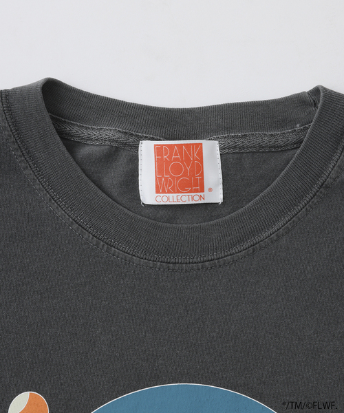 JOURNAL STANDARD(ジャーナルスタンダード)の「Frank Lloyd Wright / フランク・ロイド・ライト 別注Tシャツ(Tシャツ/カットソー・メンズ・ブラック×ブラック/ブラック系その他/ブラックミックス/ホワイト系その他/ホワイト/ブラック・LARGE/MEDIUM)」の11枚目の写真