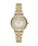 EMPORIO ARMANIiG|IA}[jj́uG|IEA}[j rv fB[X AiO XeX AR11608iAiOrvjvbGOLD 