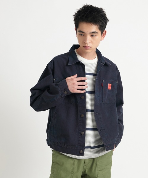 Levi