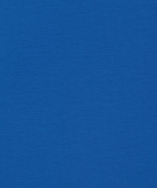 BALLSEY(ボールジィ)の「プレーティングジャージー コードタックプルオーバー(Tシャツ/カットソー・レディース・ブルー/ブラック/ホワイト・36)」の13枚目の写真