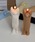 CERCAi`FJj́uy somni / \j zstand cat candle@LLhiLhjvbuE