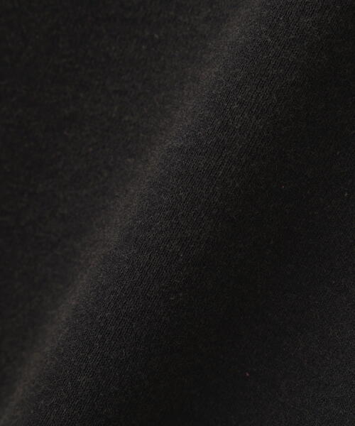 schott(ショット)の「Schott/ショット/FADE AMERICA’S LAST FRONTIER CREW SWEAT/フェード ラスト フロンティア クルー スウェット(スウェット・メンズ・レッド/ネイビー/ブラック・L/M/2XL/XL)」の8枚目の写真