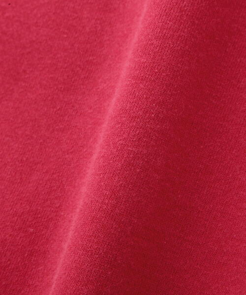 schott(ショット)の「Schott/ショット/FADE AMERICA’S LAST FRONTIER CREW SWEAT/フェード ラスト フロンティア クルー スウェット(スウェット・メンズ・レッド/ネイビー/ブラック・L/M/2XL/XL)」の13枚目の写真