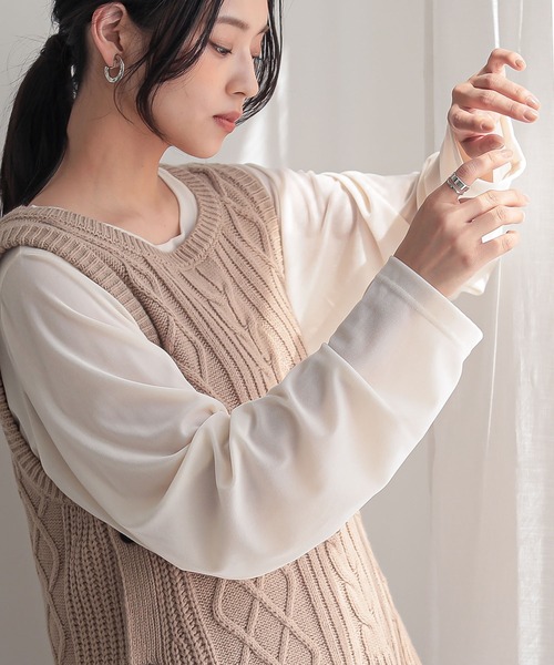 n'OrLABEL（ノアールレーベル）の「『シアーベロアカットソー』（Tシャツ/カットソー・レディース・ブラック/アイボリー/チャコール/ブラウン・2/1）」の2枚目の写真