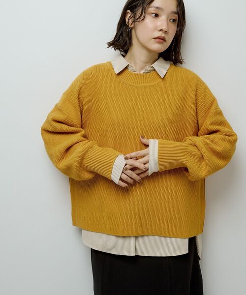 Green　Parks（グリーンパークス）の「かのこ編モックネックニットプルオーバー（ニット/セーター・レディース・オレンジ/ブラウン/グレー/ホワイト系その他2/イエロー・FREE）」の15枚目の写真