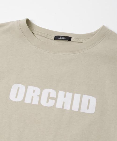 ITEMS URBANRESEARCH(アイテムズ アーバンリサーチ)の「フロッキープリントTシャツ(Tシャツ/カットソー・レディース・ライトブルー/ライトベージュ/チャコールグレー/ホワイト・FREE)」の21枚目の写真