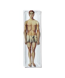 PUEBCO（プエブコ）の「PRINTED GLASS TRAY / Skeleton, Body（ステーショナリー）」
