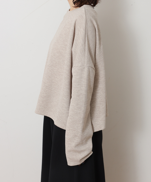 JOURNAL STANDARD LUXE（ジャーナルスタンダード　ラックス）の「ダブルフェイス ワイドプルオーバー（Tシャツ/カットソー・レディース・ブラック/ベージュ・FREE）」の17枚目の写真