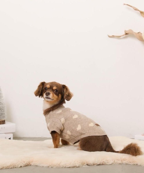 moncheri（モンシェリ）の「ハート柄ジャガードニットトップス（ペットウェア・レディース・モカ/アイボリー・S/L/XL/M/2M/XS）」の4枚目の写真