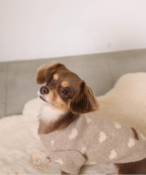 moncheri（モンシェリ）の「ハート柄ジャガードニットトップス（ペットウェア・レディース・モカ/アイボリー・S/L/XL/M/2M/XS）」の6枚目の写真