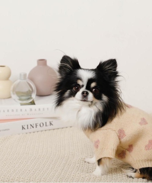 moncheri（モンシェリ）の「ハート柄ジャガードニットトップス（ペットウェア・レディース・モカ/アイボリー・S/L/XL/M/2M/XS）」の7枚目の写真