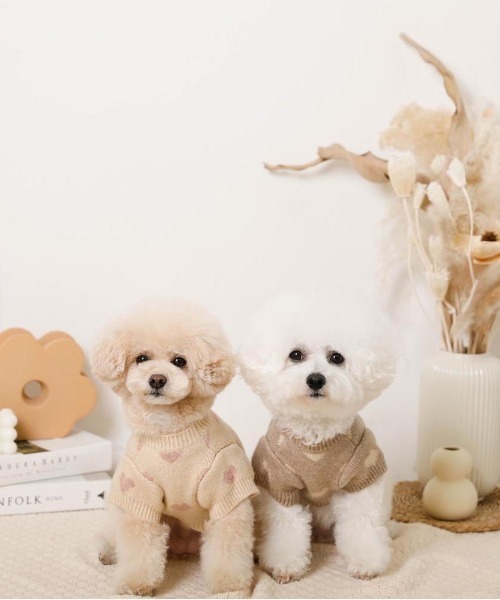 moncheri（モンシェリ）の「ハート柄ジャガードニットトップス（ペットウェア・レディース・モカ/アイボリー・S/L/XL/M/2M/XS）」の8枚目の写真