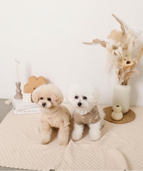 moncheri（モンシェリ）の「ハート柄ジャガードニットトップス（ペットウェア・レディース・モカ/アイボリー・S/L/XL/M/2M/XS）」の10枚目の写真