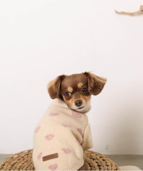 moncheri（モンシェリ）の「ハート柄ジャガードニットトップス（ペットウェア・レディース・モカ/アイボリー・S/L/XL/M/2M/XS）」の12枚目の写真