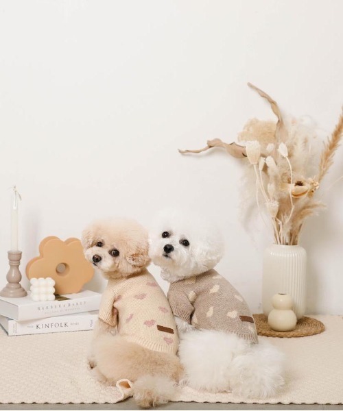 moncheri（モンシェリ）の「ハート柄ジャガードニットトップス（ペットウェア・レディース・モカ/アイボリー・S/L/XL/M/2M/XS）」の14枚目の写真