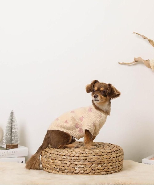 moncheri（モンシェリ）の「ハート柄ジャガードニットトップス（ペットウェア・レディース・モカ/アイボリー・S/L/XL/M/2M/XS）」の15枚目の写真