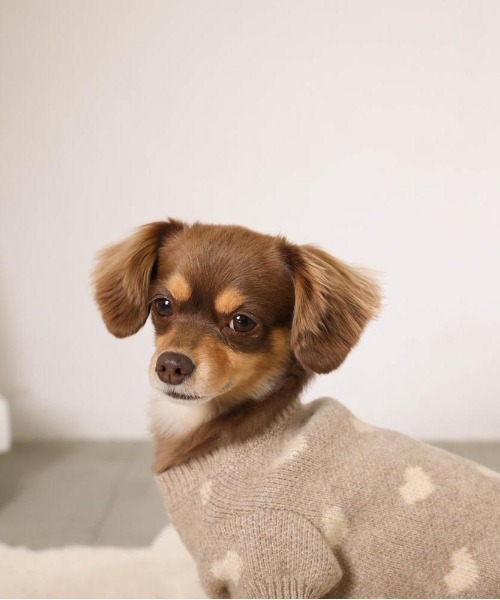 moncheri（モンシェリ）の「ハート柄ジャガードニットトップス（ペットウェア・レディース・モカ/アイボリー・S/L/XL/M/2M/XS）」の11枚目の写真