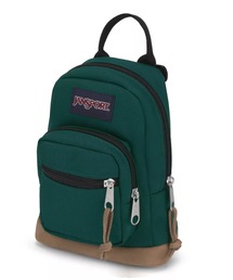 JANSPORT 緑色 リュック・バックパック グリーン バッグ リュックの通販｜ジャンスポーツ公式オンライン