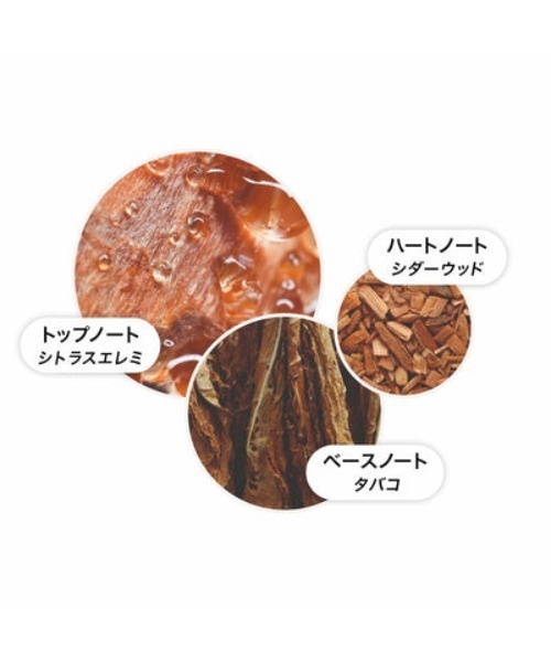 タバコアブソリュート オードトワレ 100ml｜モルトンブラウン