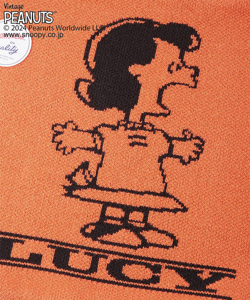 journal standard Furniture （ジャーナルスタンダードファニチャー）の「【PEANUTS×SPORTS WEAR by JSF】別注 KNIT CUSHION クッションカバー（クッション/クッションカバー・レディース・グリーン/イエロー/オレンジ/ブルー・FREE）」の10枚目の写真