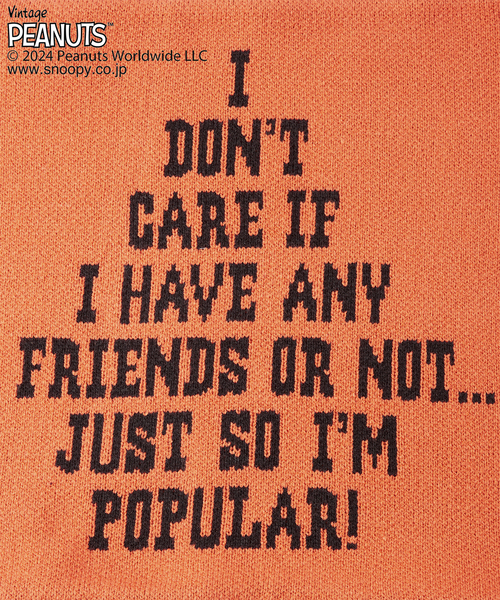 journal standard Furniture （ジャーナルスタンダードファニチャー）の「【PEANUTS×SPORTS WEAR by JSF】別注 KNIT CUSHION クッションカバー（クッション/クッションカバー・レディース・グリーン/イエロー/オレンジ/ブルー・FREE）」の14枚目の写真